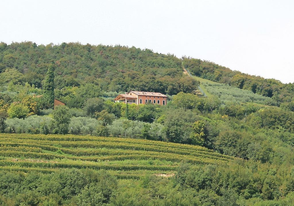 Ca' Dei Coci B&B San Martino Buon Albergo Exterior photo